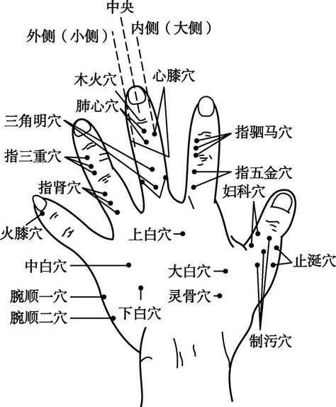 五虎一穴|董氏奇穴 一一部位 五虎穴